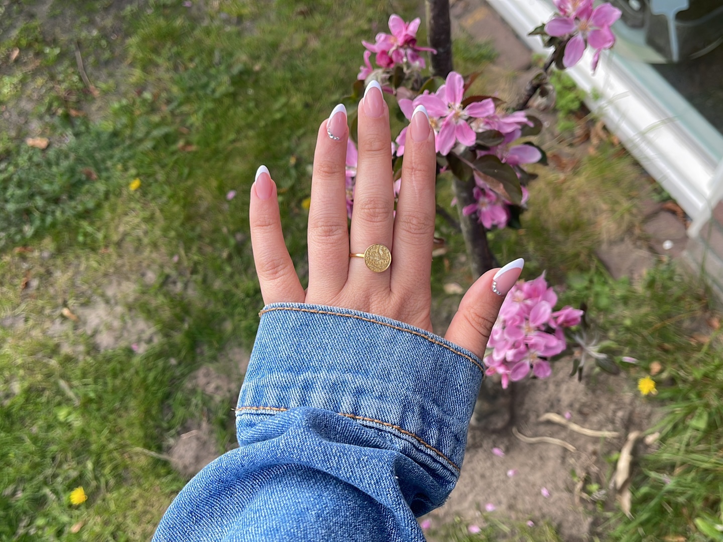 Hand met lange roze French nagels tussen roze bloesem