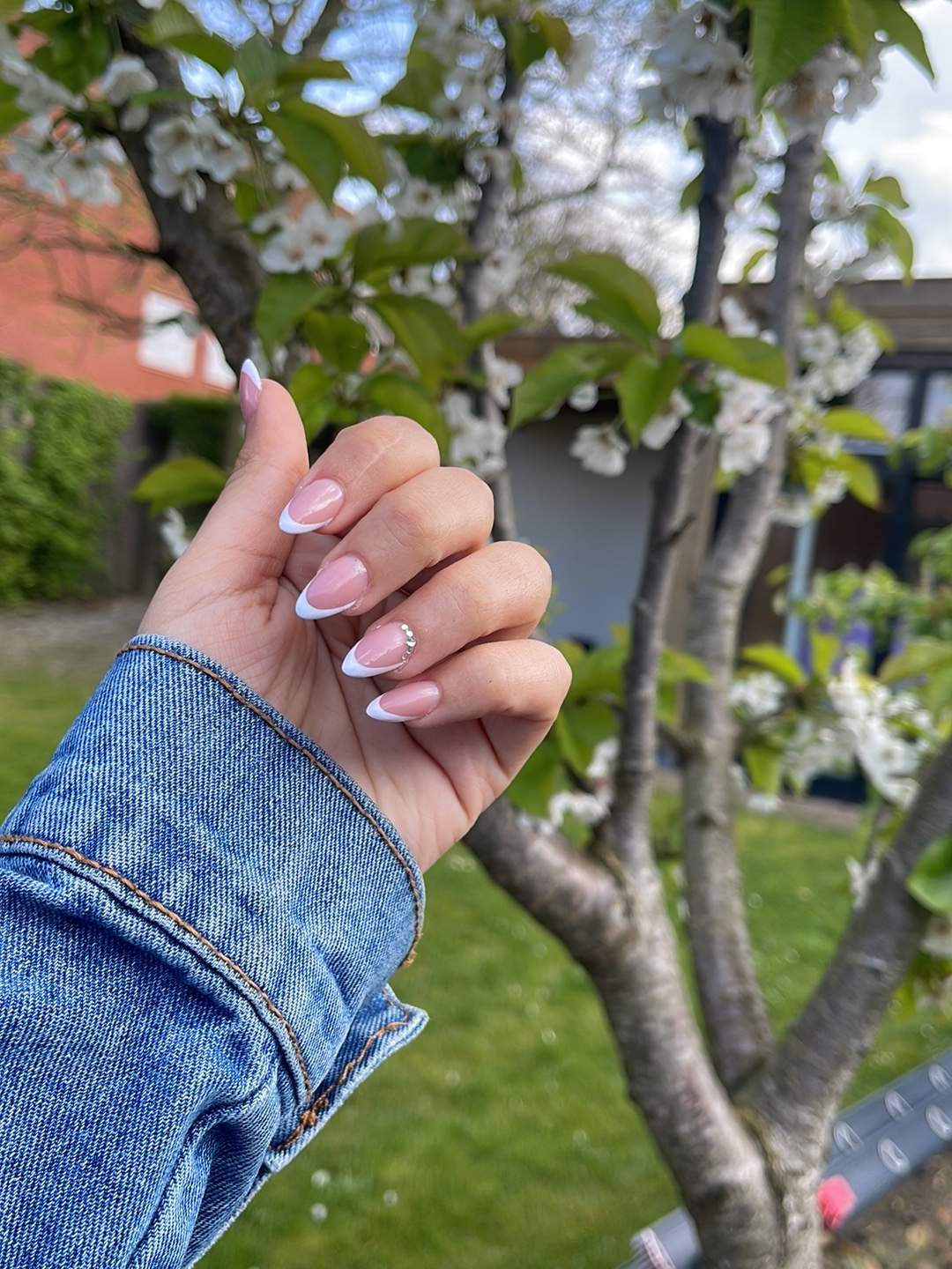 Amandelvormige nagels met een roze French en steentjes, voor een bloeiende boom
